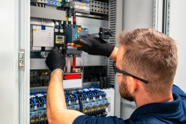 Best Electric Panel Repair  in Kingston, NJ